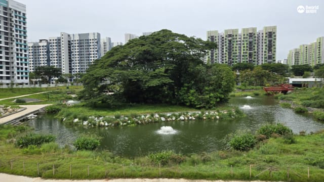 消失60年的阿卡夫湖重现比达达利公园