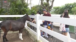 Related article image