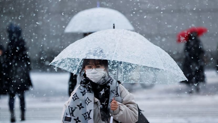 ஜப்பானில் பனி - விமானச் சேவைகள் ரத்துச் செய்யப்படலாம்