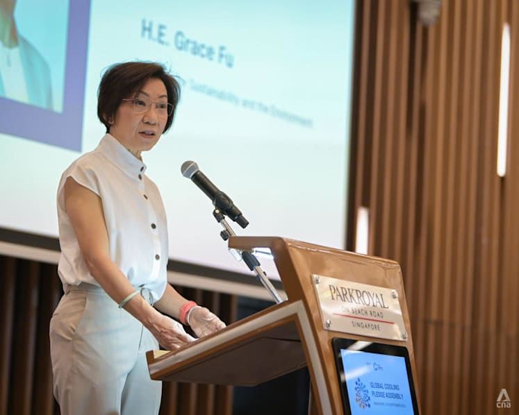 Countries need to expand access to cooling without raising emissions: Grace Fu