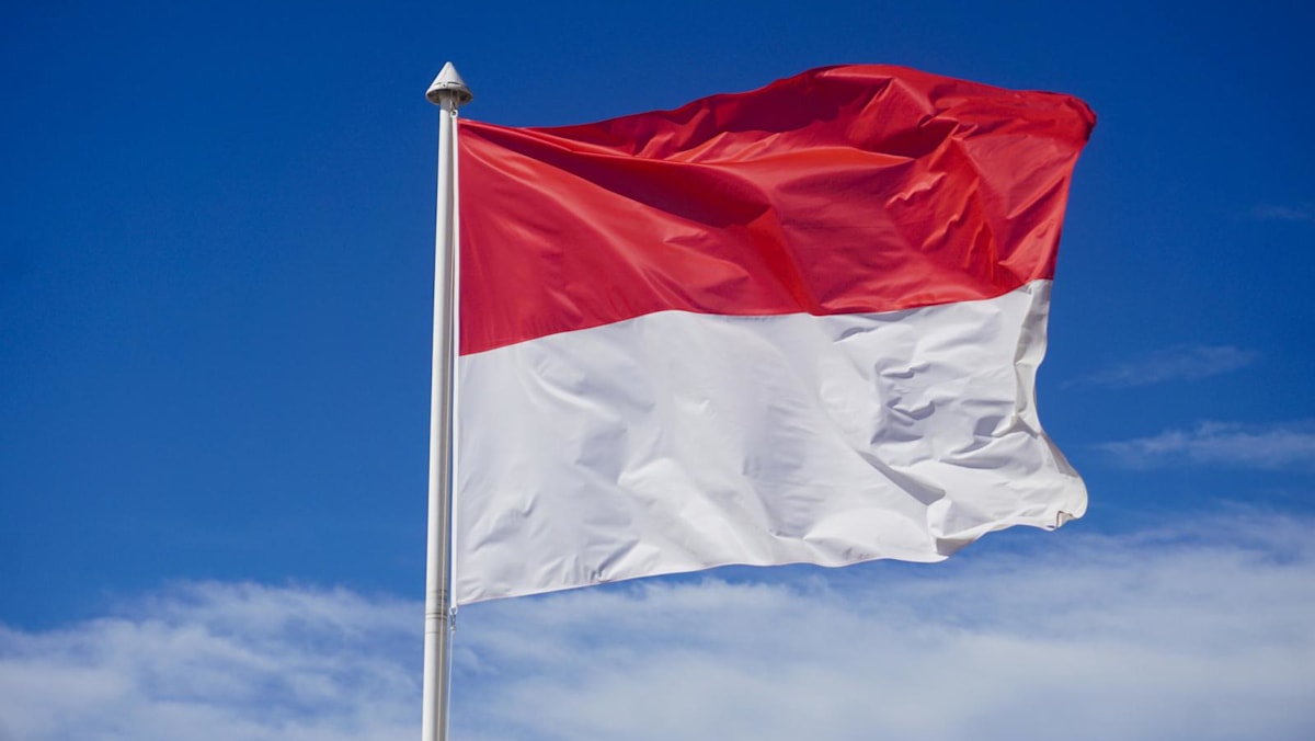 Australian plane owner charged over 'black flight' to Indonesia