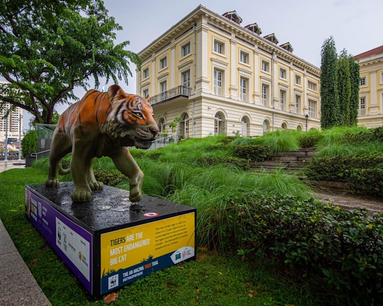 Tapping on 5G to inspire conversations on conservation 