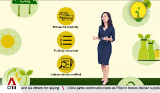  What are carbon credits and how do they work?