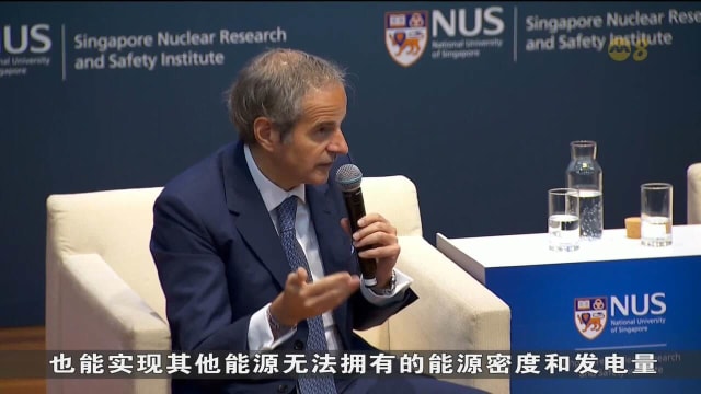 IAEA总干事：我国能考虑同其他亚细安国家合作 联合开发核电厂