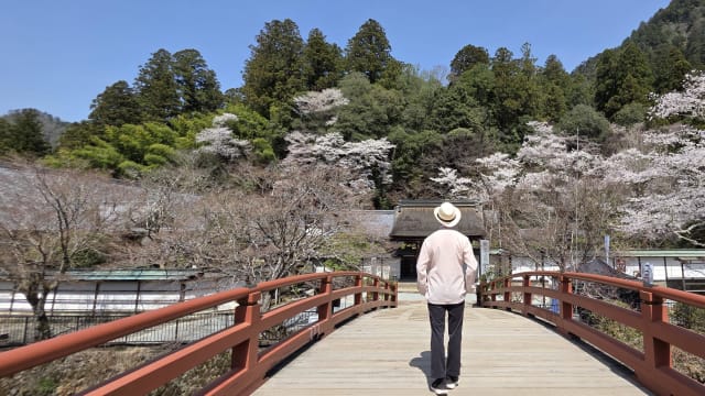 【城市呼吸｜陈荣光】从汽车国到旅游国  日本隐忧浮现