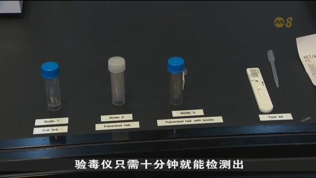 为加快验毒过程 肃毒局正评估使用即时毛发验毒仪