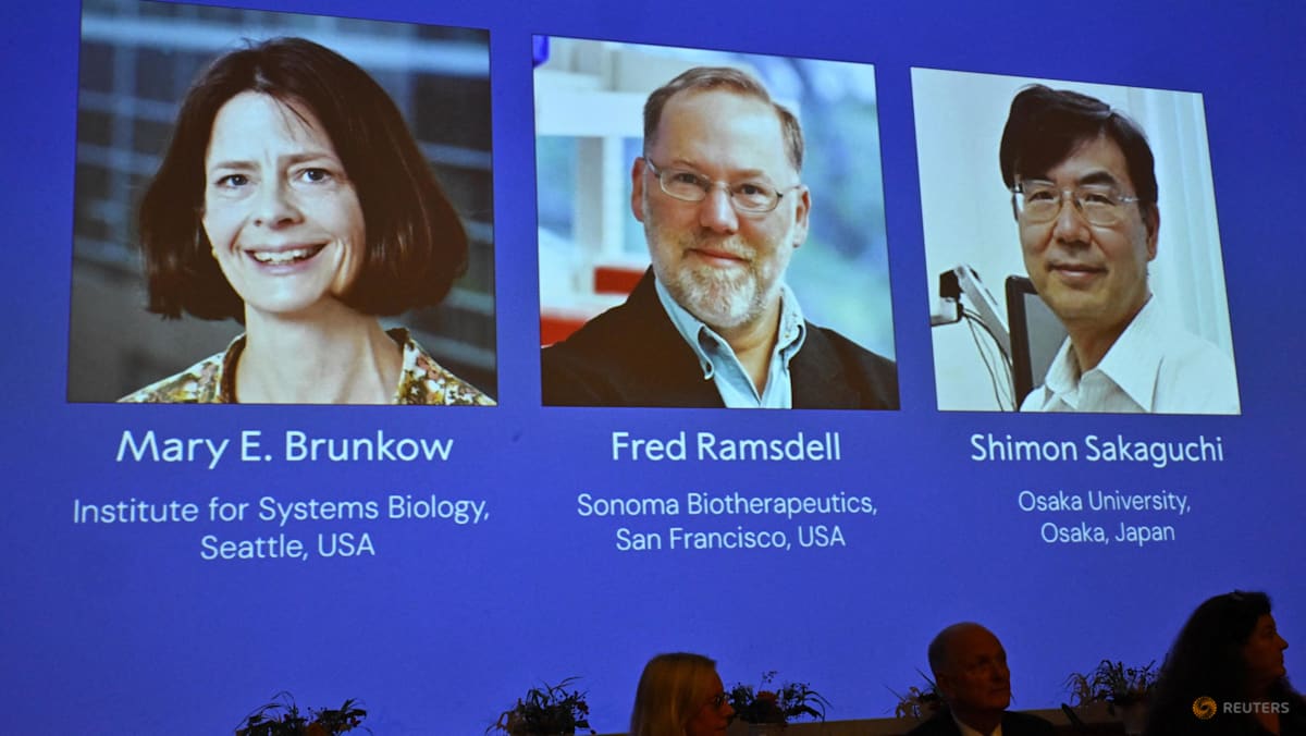 US-Japanese trio win medicine Nobel for immune system research