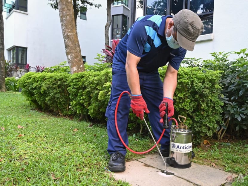 'Not rocket science': How one condominium is taking steps to fight dengue