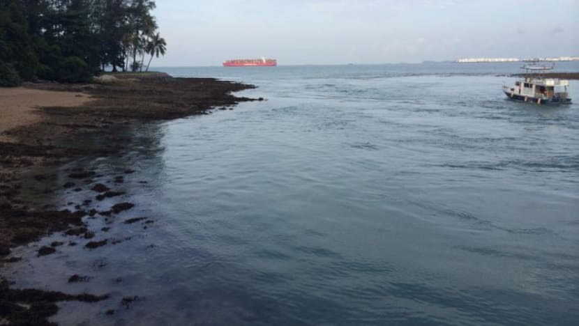 Sisters’ Islands Marine Park dives open for registration