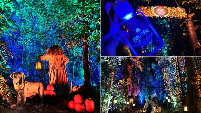 00_harry_potter_forest_singapore