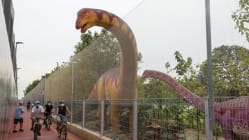 Related article image