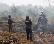 Indonesia's wildfires may last until early November, minister says