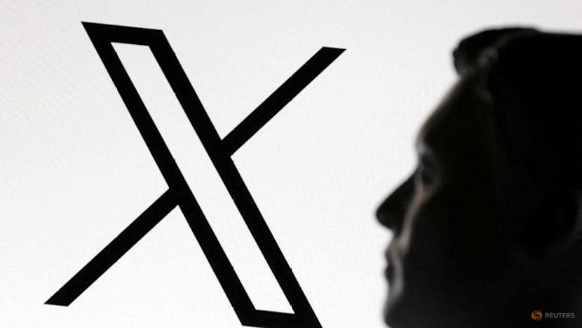 Musk's X to appeal Indian court ruling on secretive content removal system
