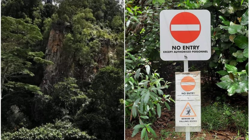 Issue of climbing at Dairy Farm Quarry at a standstill after NParks prohibits entry to rock walls Issue of climbing at Dairy Farm Quarry at a standstill after NParks prohibits entry to rock walls