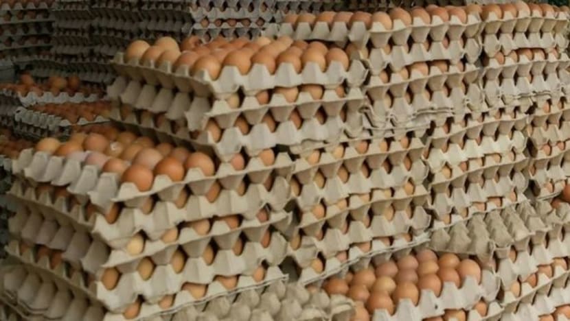 Bekalan telur ayam di M'sia kurang akibat kegiatan seludup ke negara jiran Bekalan telur ayam di M'sia kurang akibat kegiatan seludup ke negara jiran