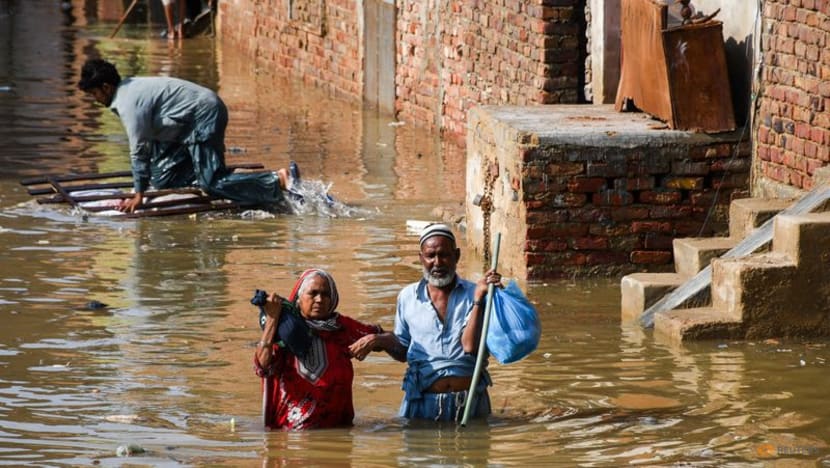 Pakistan lake formed by mountain mudslide threatens 'catastrophic' floods Pakistan lake formed by mountain mudslide threatens 'catastrophic' floods