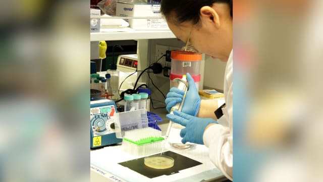 本地女子术后出现抗生素耐药性感染 接受中央医院特殊疗法后病情改善