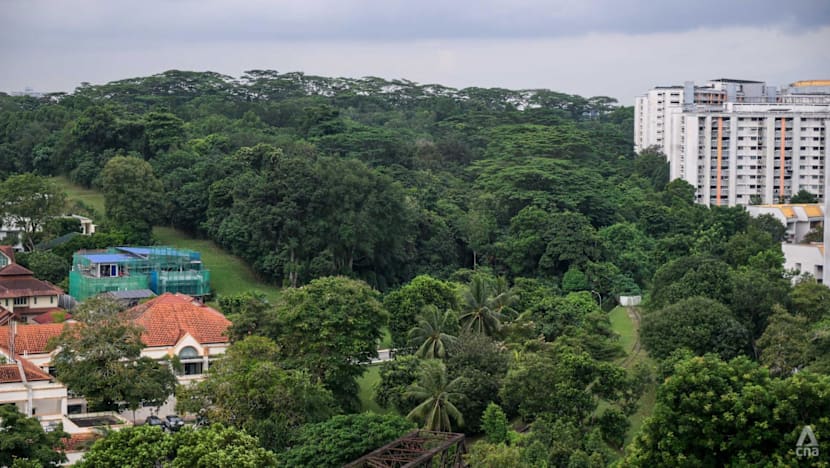 Gillman Barracks and Maju Forest: more greenery retained after public feedback
