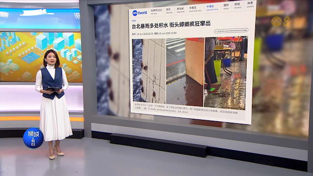 狮城有约 | 8分看视界：台北淹水蟑螂倾巢而出 压力锅煮粽子突然爆炸