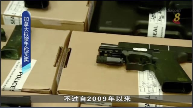 加拿大拟推新法案 冻结手枪拥有权