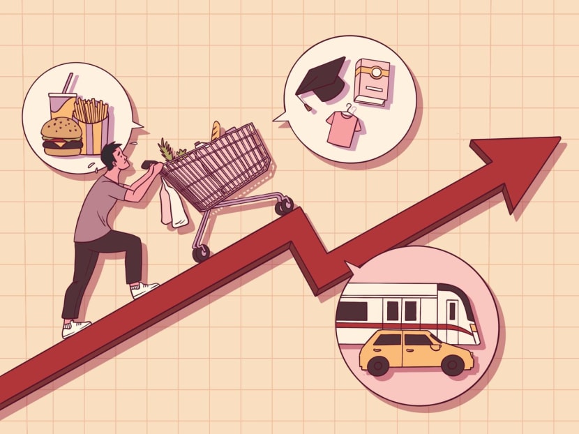 The Big Read in short: With small paychecks and high consumption, how are youths coping with rising prices? The Big Read in short: With small paychecks and high consumption, how are youths coping with rising prices?