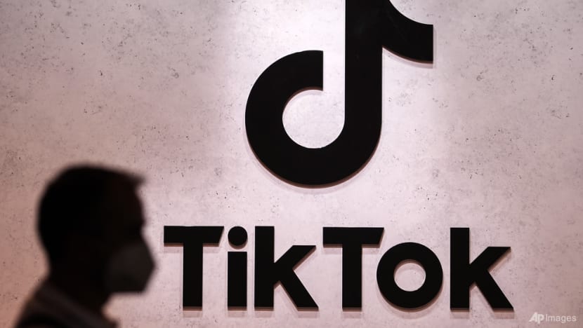 TikTok fined €530 million by EU regulator over data protection TikTok fined €530 million by EU regulator over data protection