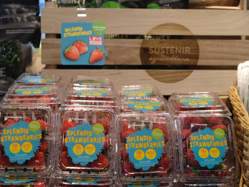 Singapore start-up Sustenir has managed to produce strawberries in Singapore, on a commercial scale, and in a controlled indoor environment.