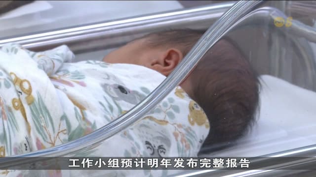 英兰妮：总理国庆群众大会将宣布更多家庭援助措施