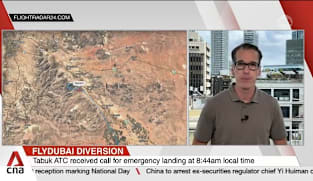 Israel-bound flight diverted to Saudi Arabia after brawl between pilots 