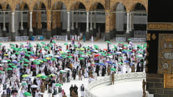 Related article image