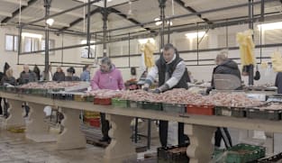Sea Change - The Future of Fishing 