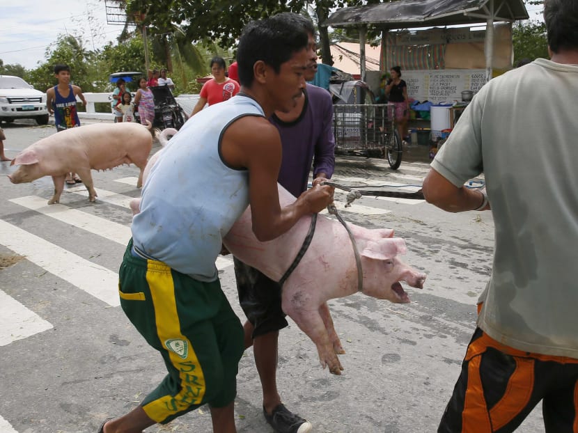 Typhoon leaves 11 dead, Filipino villagers saved from flood