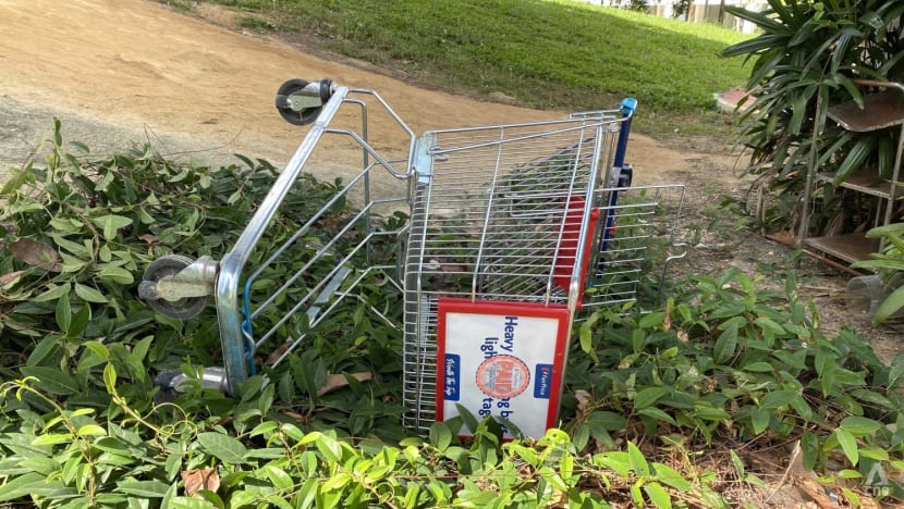 NTUC FairPrice yet to make police reports over abandoned trolleys this year but warns 'recalcitrant shoppers' NTUC FairPrice yet to make police reports over abandoned trolleys this year but warns 'recalcitrant shoppers'