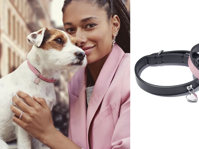 Pandora Now Has Pet Accessories For Your Furkids &mdash; Charms For Humans Available Too So You Can Twin With Them