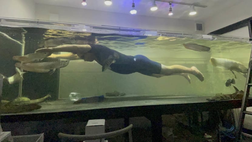 Man In Japan Has 3m-Long Aquarium In His House That He Swims In — Yes, With His Fish Man In Japan Has 3m-Long Aquarium In His House That He Swims In — Yes, With His Fish