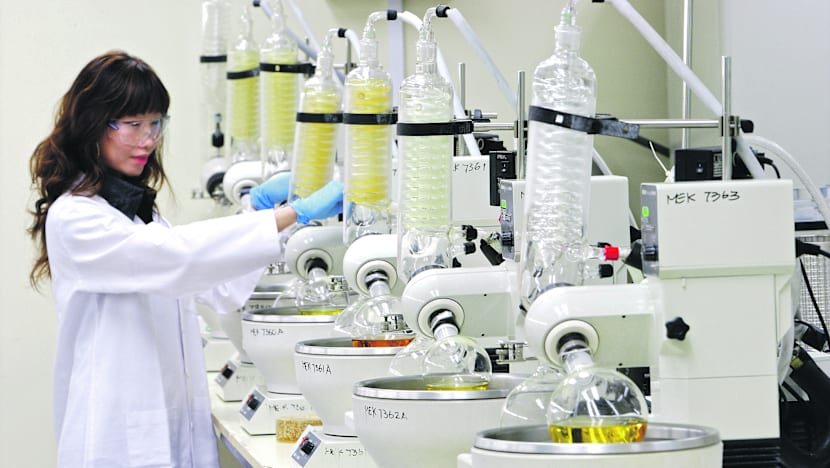 ‘More needs to be done’ to bring top overseas-based S’porean scientists back