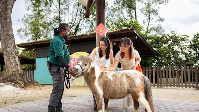 农历新年活动融入“马”元素 万态野生动物世界欢庆马年