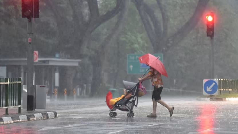 Kemalangan jalan raya libatkan pejalan kaki warga tua naik pada 2022: SPF