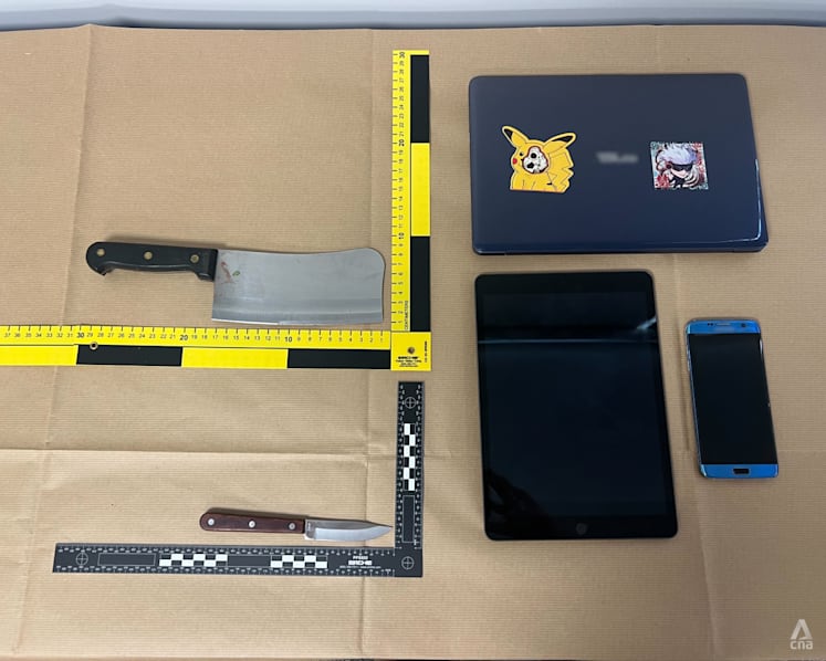 Chopper-wielding man charged over attacks in Commonwealth that injured 7, remanded for medical examination