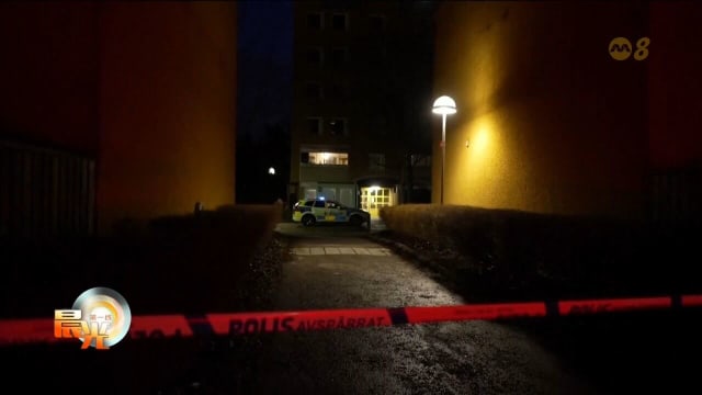 瑞典焚烧可兰经男子 法院裁决前夕遭枪杀