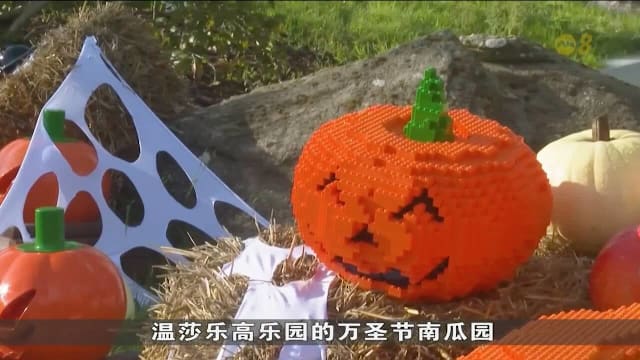 乐高版南瓜亮相英国温莎乐高乐园 真假南瓜齐庆万圣节