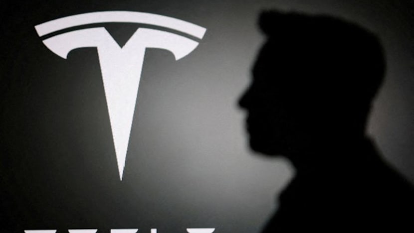 France opposes EU approval of Tesla's FSD driver assistance software for now