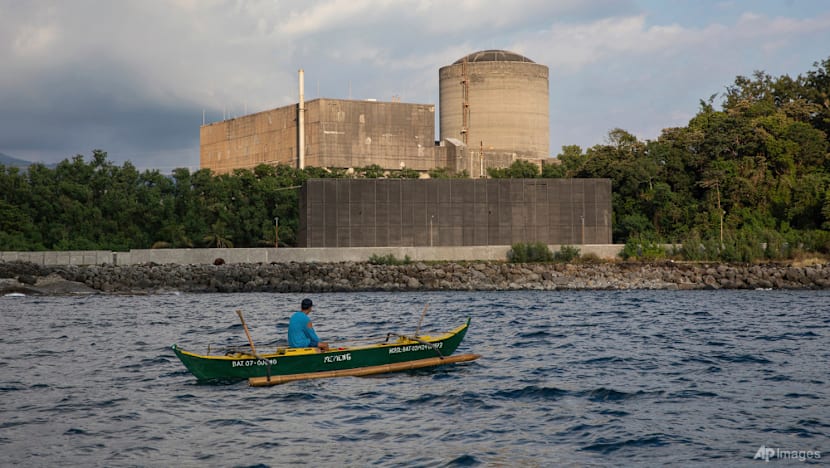 Singapore can't confirm neighbours' progress in nuclear energy, is working with IAEA to 'triangulate' data: Tan See Leng