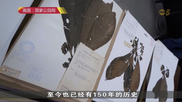 为欢庆申遗成功十周年 植物园将举办一系列活动
