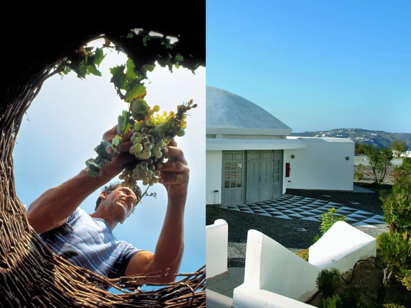 Exploring the wines of Greece - CNA Luxury