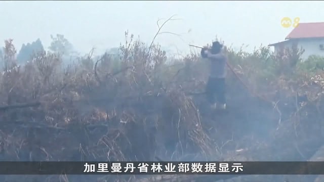 印尼六个烟霾重灾省份 约143万名学生改上网课