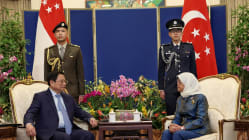 Related article image