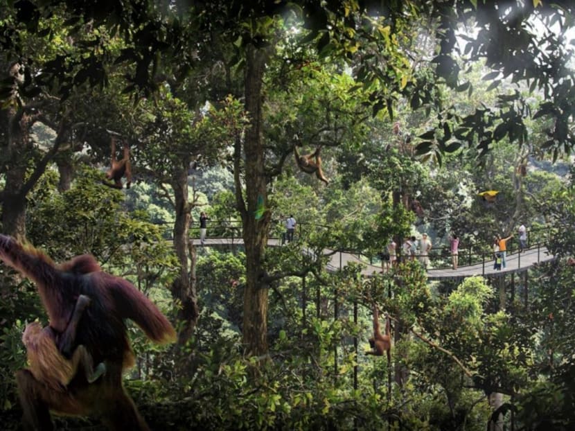 Banyan Tree Holdings’ future resort at the Mandai mega-nature attraction will appeal to both local and foreign visitors, and could get tourists to spend an extra day or two in Singapore, said tourism experts. Photo: Mandai Park Holdings