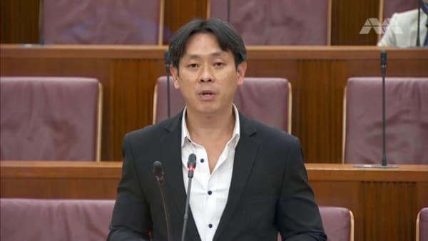 Committee of Supply 2021 debate, Day 5: Louis Ng on tweaking rental scheme for singles, allowing the keeping of cats in HDB flats