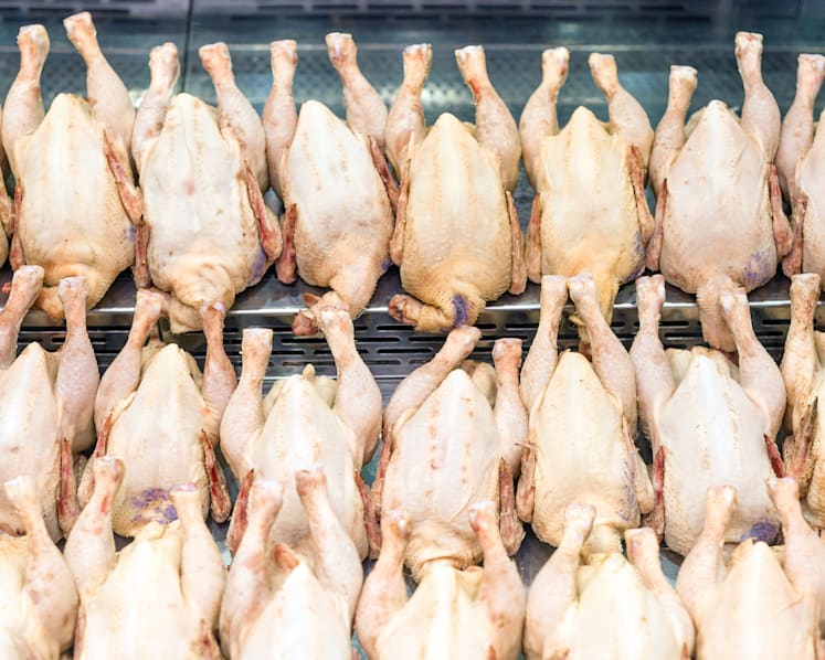 Operations manager gets 16 months’ jail for stealing more than 10,000 fresh and frozen chickens from employer